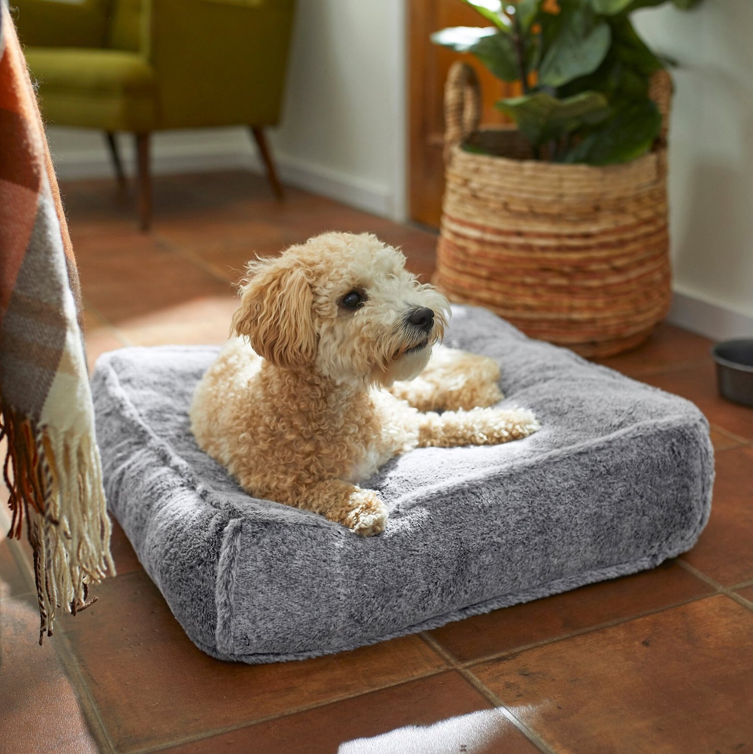 FRISCO Plush Tufted Pillow Cat & Dog Bed, Small