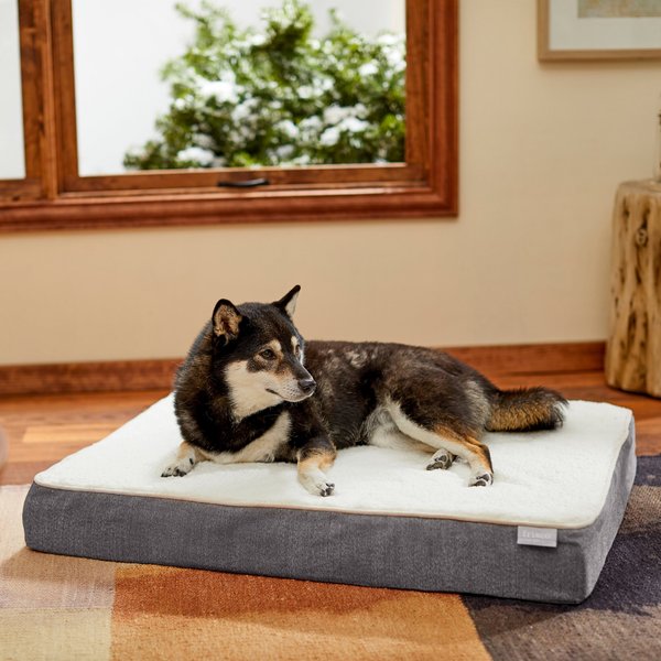 Frisco Orthopedic Pillow Cat & Dog Bed, Gray, Medium slide 1 of 6