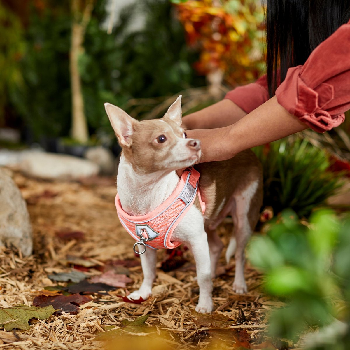 PUP CREW PRO Reflex Trainer Nylon Reflective Step In Dual Clip Dog