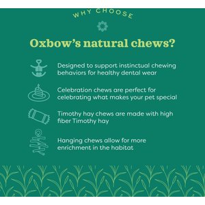 Oxbow Enriched Life Apple Rounds Small Pet Chew Toy, 2 count