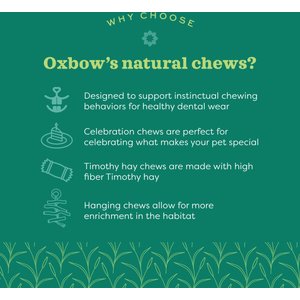 Oxbow Enriched Life Timothy Carrot Lollipop Small Pet Chew Toy