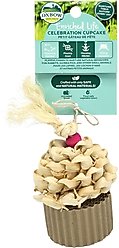 Oxbow Enriched Life Celebration Cupcake Small Pet Toy