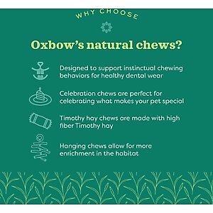 Oxbow Enriched Life Apple Timothy Lollipop Small Pet Chew Toy