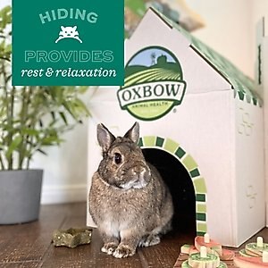 Oxbow Enriched Life Cozy Cave Small Pet Hideout, Large
