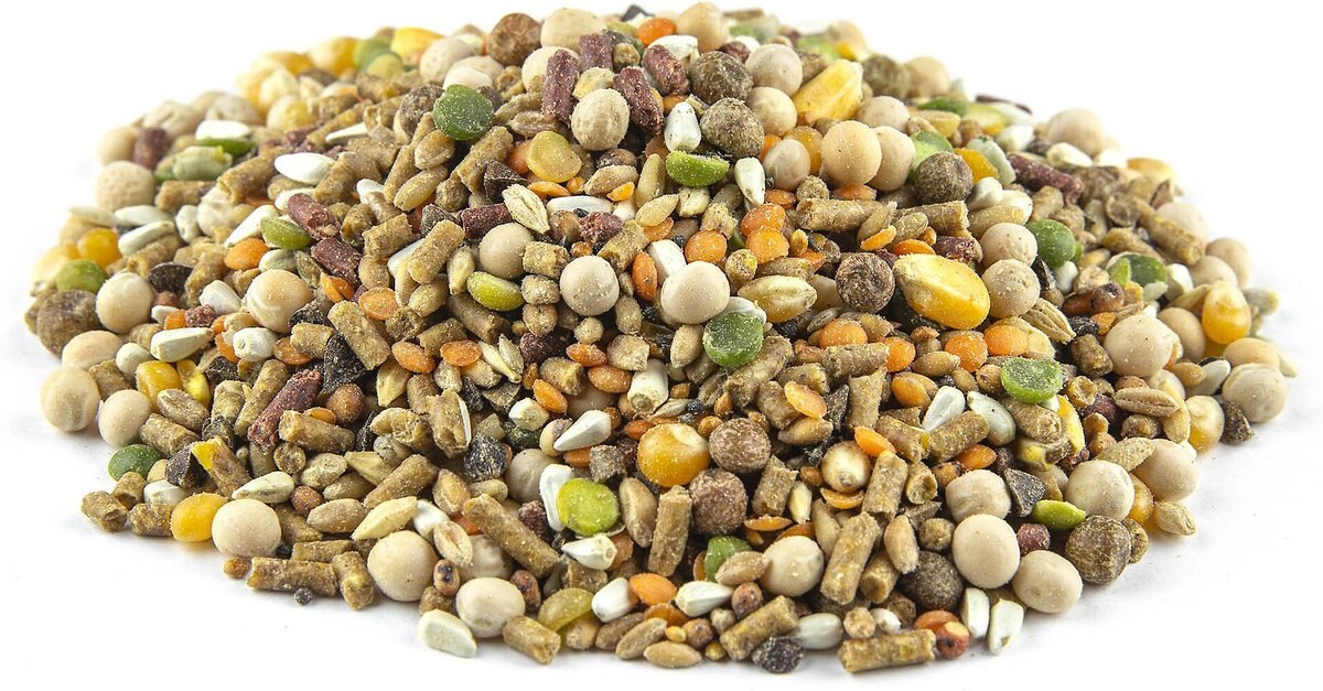 DON ROBERTO Energizer 19 5 Protein Gamebird Poultry Grain Feed 50 235267 PT2. AC SL1200 V1590604317 
