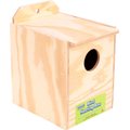 Ware Parakeet Nest Box, 1 count
