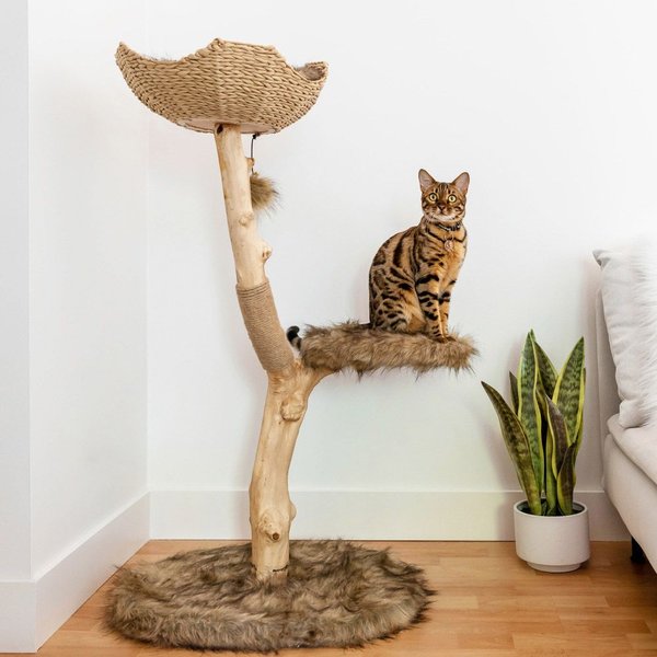 Mau Lifestyle Uni 41-in Faux Fur Basket Bed Cat Tree, Brown slide 1 of 9