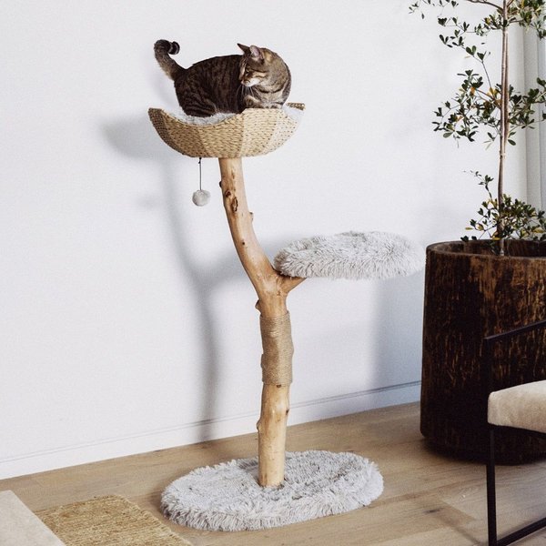 MAU Uni 41-in Faux Fur Basket Bed Cat Tree, Gray - Chewy.com