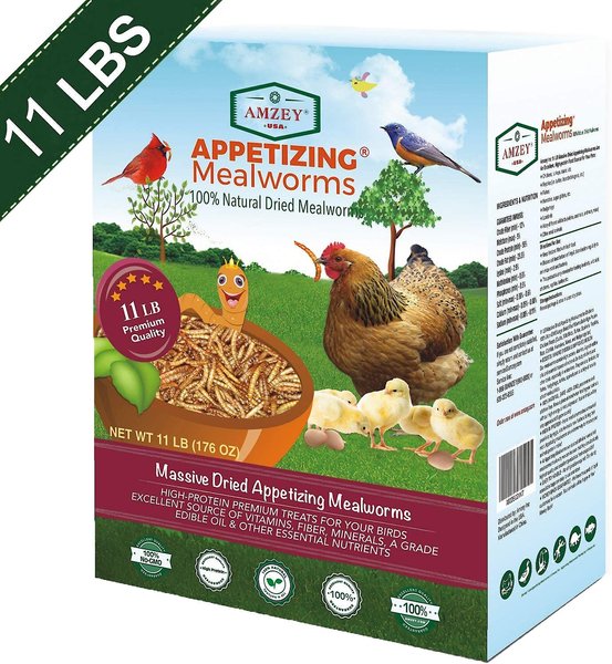 AMZEY Appetizing Mealworms Wild Poultry Treats, 11-lb box 