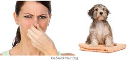 doggiCLEEN Skunk Spray Odor Eliminating Dog Spray, 12-oz bottle slide 2 of 2