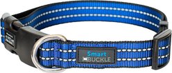 SmartBuckle Standard Protective Nylon Dog Collar, Blue, Medium: 12 to 17-in neck slide 2 of 3