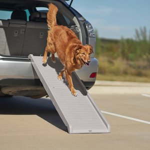 Frisco Bi-Fold Travel Dog Car Ramp, Gray