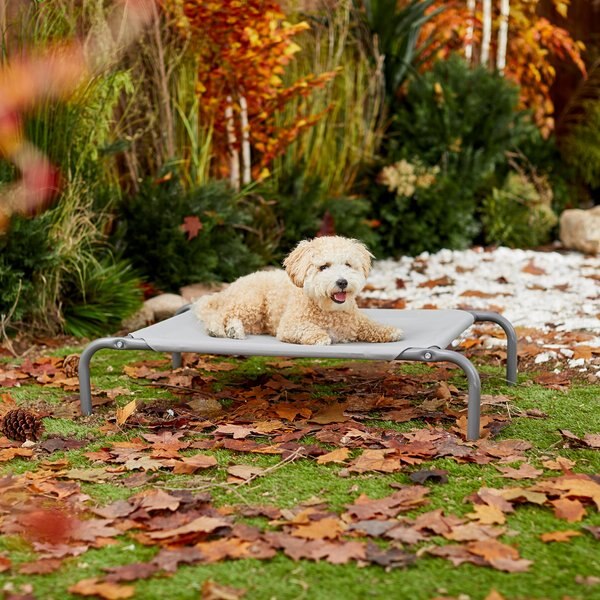 Out of Stock FRISCO SteelFramed Elevated Dog Bed, Metallic Gray