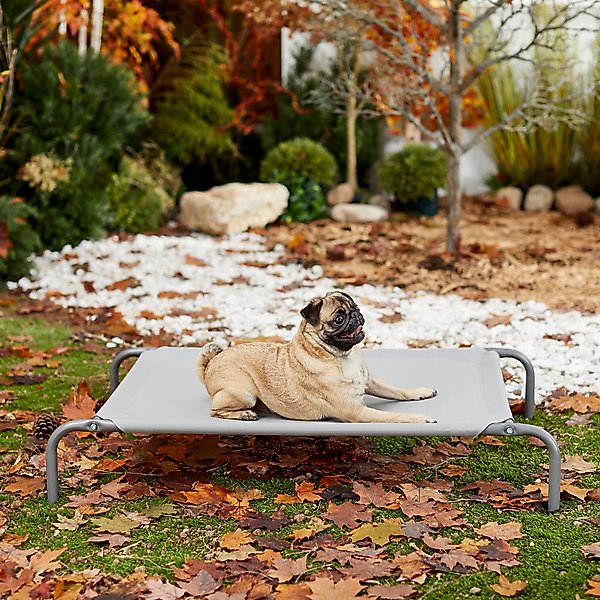 Frisco Steel-Framed Elevated Dog Bed, Metallic Gray, Medium slide 1 of 6