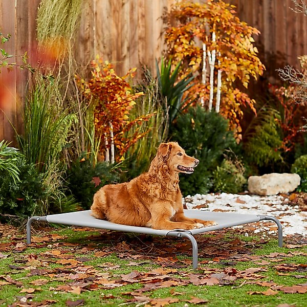 FRISCO SteelFramed Elevated Dog Bed, Metallic Gray, Large