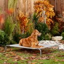 Frisco Steel-Framed Elevated Dog Bed, Metallic Gray, Large