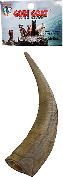 QT Dog Gobi Goat Horn Chew Dog Treat, Medium slide 1 of 3