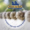 Mane 'n Tail Spray 'n Braid Horse Spray, 16-fl oz bottle