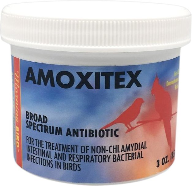 MORNING BIRD Amoxitex Broad Spectrum Antibiotic Bird Supplement, 3oz