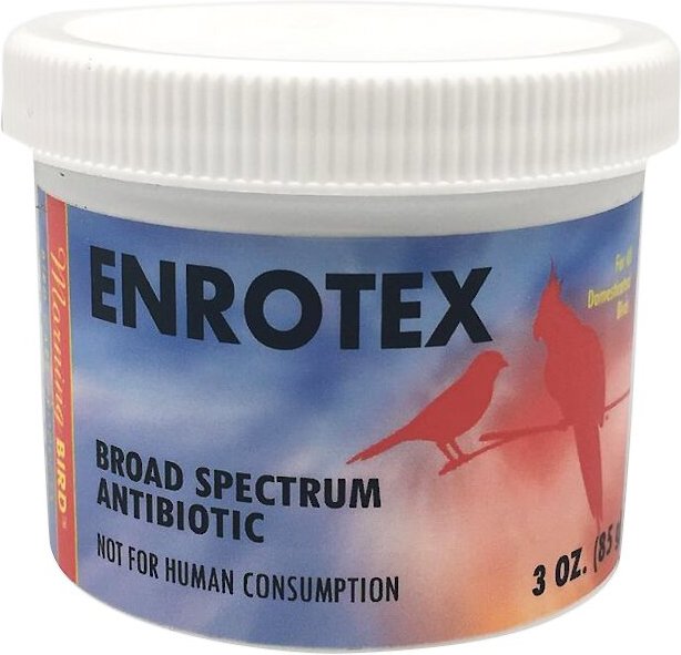 MORNING BIRD Enrotex Broad Spectrum Antibiotic Bird Supplement, 3oz