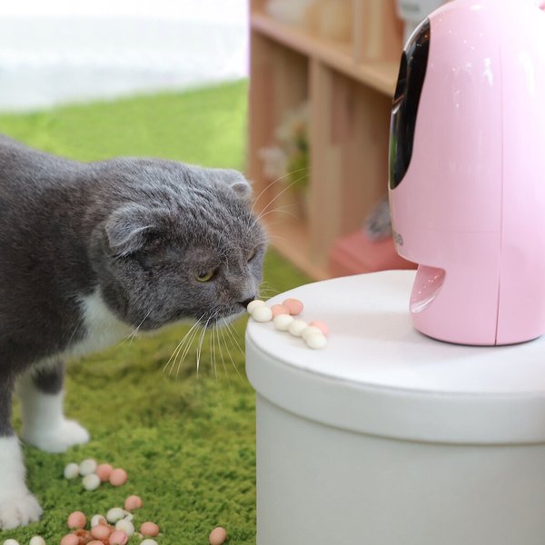 Pawbo Wi-Fi Interactive Pet Camera & Treat Dispenser, Pink slide 1 of 10