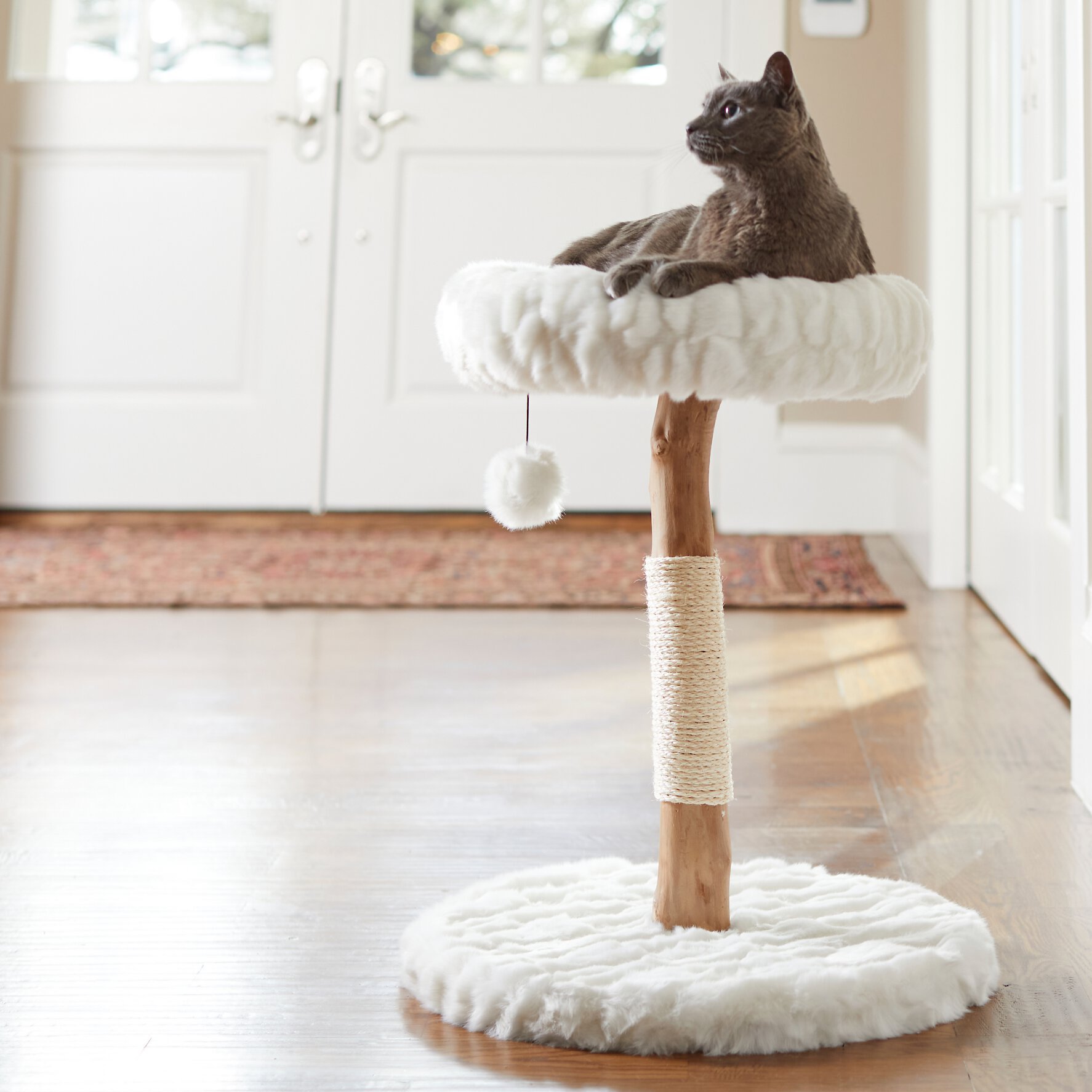 FRISCO Natural Wood Modern Cat Tree with Toy, Ivory, Small Customer