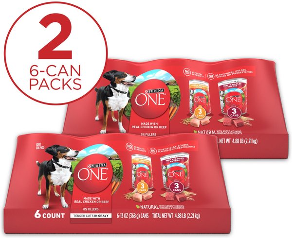 PURINA ONE SmartBlend Tender Cuts in Gravy Variety Pack Wet Dog