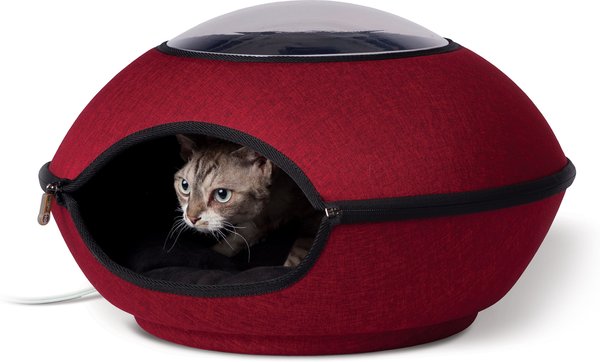 Chewy heated hotsell cat beds