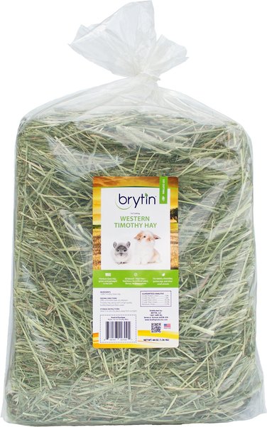 Brytin 1st Cutting All-Natural Western Timothy Hay Chinchilla Food, 48-oz bag slide 1 of 3