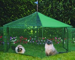Kittywalk Gazebo Yard & Garden Outdoor Cat Playpen slide 2 of 3