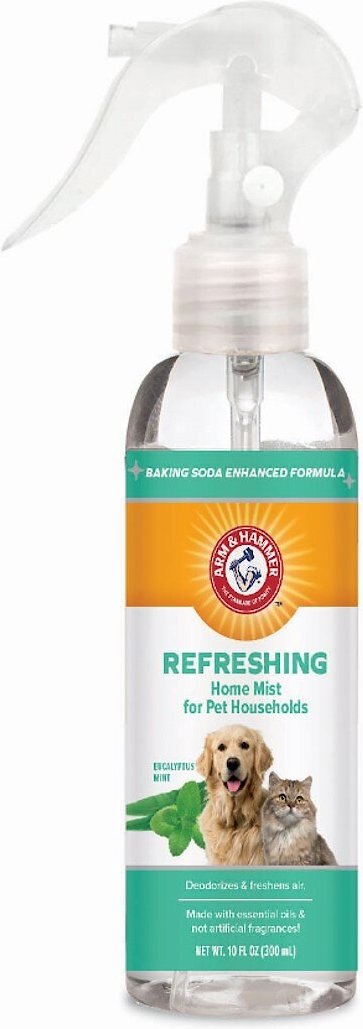 Arm & Hammer Refreshing Eucalyptis Mint Pet Households Reed Diffuser, 4-oz jar
