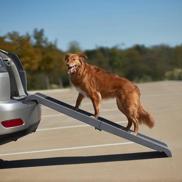 Frisco Bi-Fold Travel Dog Car Ramp, Dark Charcoal slide 1 of 6