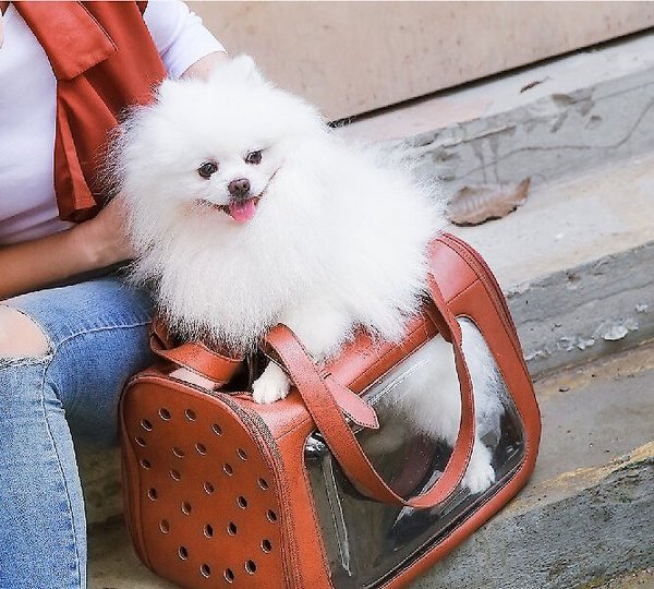 Ibiyaya Airline Approved Pet Carrier Bag for Small Dogs and Cats