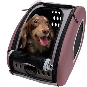 ibiyaya 5-in-1 Combo EVA Airline-Approved Dog & Cat Carrier & Stroller, Brown