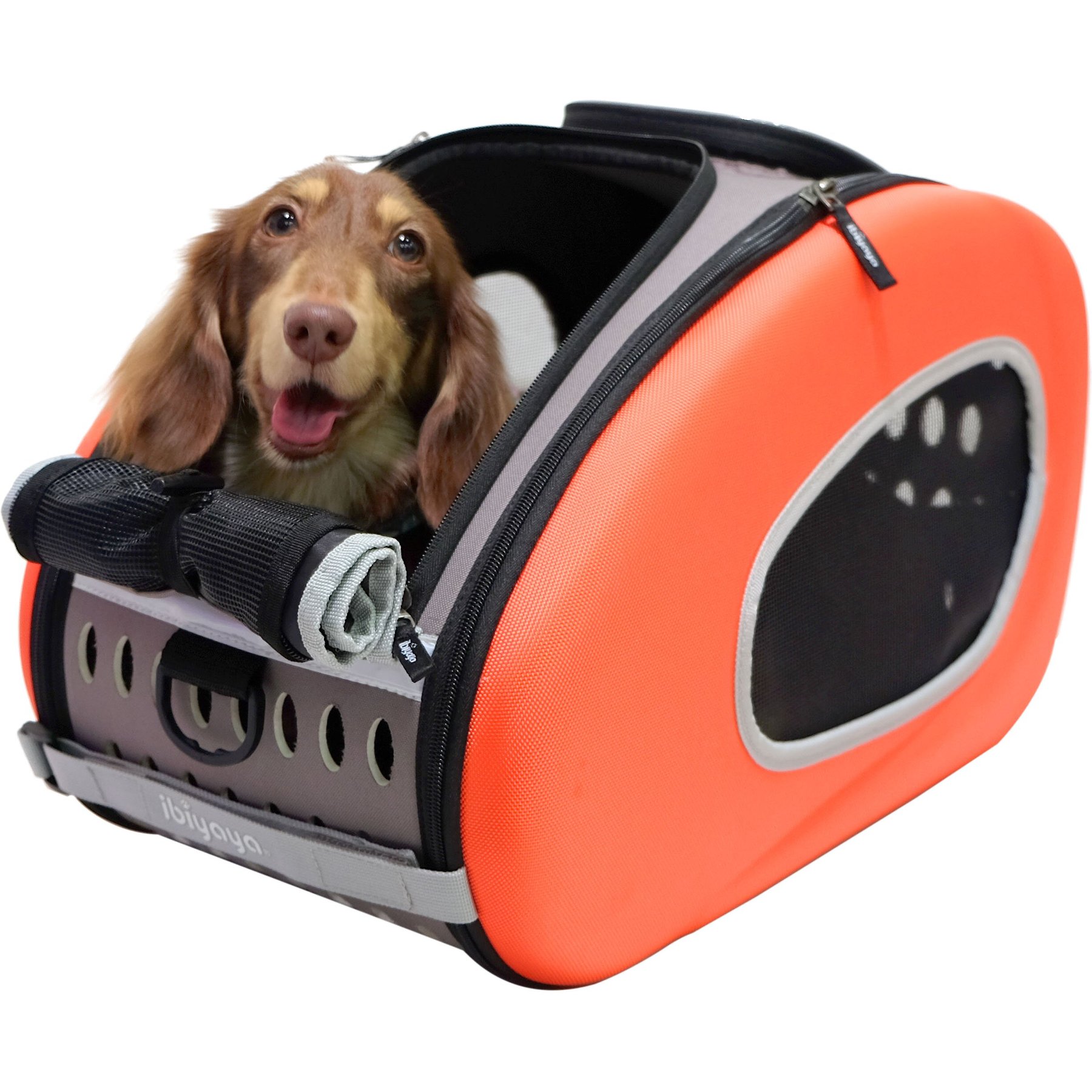 Ibiyaya 5 in 1 pet carrier best sale