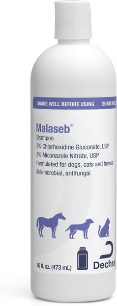 Malaseb Shampoo, 16 oz slide 1 of 1