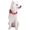 Show in main carousel: Blueberry Pet Luxurious Christmas Festival Polka Dot Dog Collar, Medium slide 4 of 8