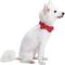 Show in main carousel: Blueberry Pet Luxurious Christmas Festival Polka Dot Dog Collar, Medium slide 5 of 8