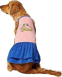 Frisco Bee Mine Dog & Cat Dress, Large