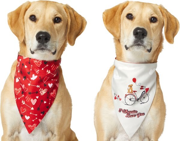 Frisco I Wheelie Love You Dog & Cat Reversible Bandana