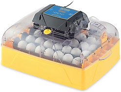 Brinsea Ovation 28 Ex Fully Automatic Bird Egg Incubator