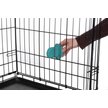 DIGGS Groov Dog Crate Training Tool, Turquoise - Chewy.com