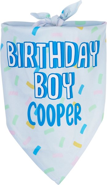 Frisco Birthday Boy Personalized Dog & Cat Bandana, Large slide 1 of 7