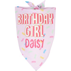 Frisco Birthday Girl Personalized Dog & Cat Bandana, Small