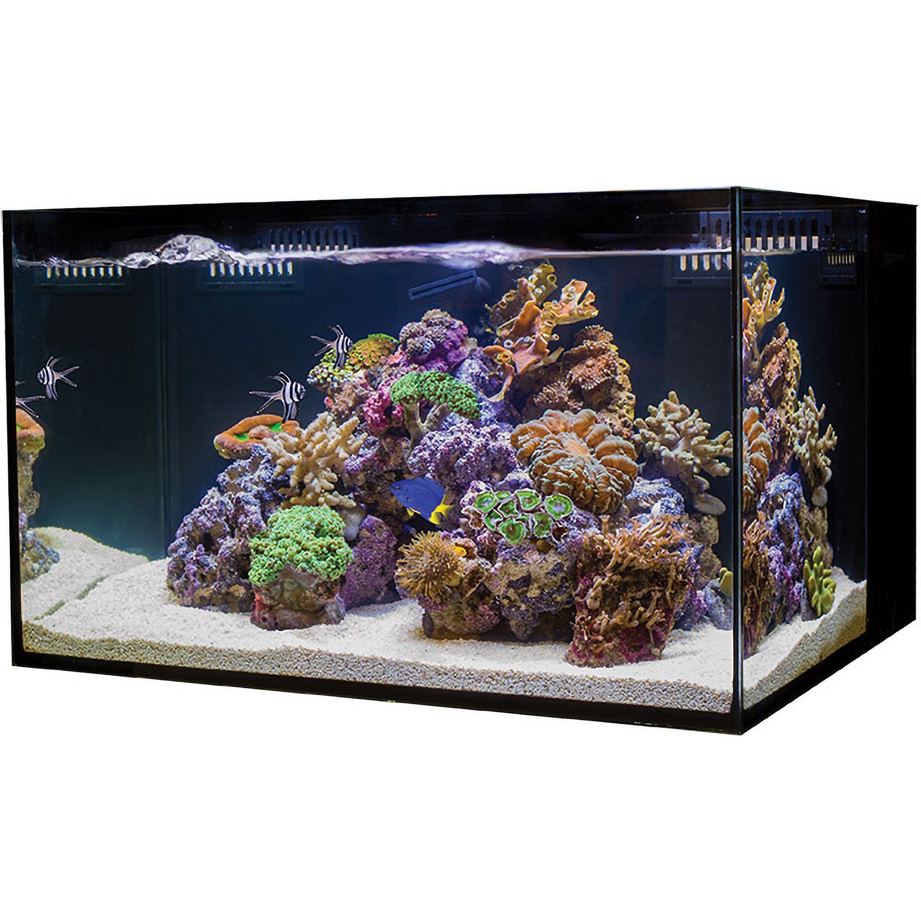 Temporarily Unavailable - COBALT AQUATICS C-Vue All-In-One Aquarium, 18 ...