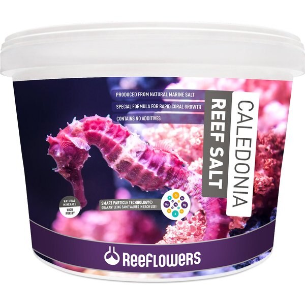 Reeflowers