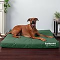 FurHaven Deluxe Oxford Orthopedic Indoor/Outdoor Dog & Cat Bed with Removable Cover, Jumbo, forest