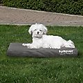 FurHaven Deluxe Oxford Orthopedic Indoor/Outdoor Dog & Cat Bed with Removable Cover, Medium, Stone Grey