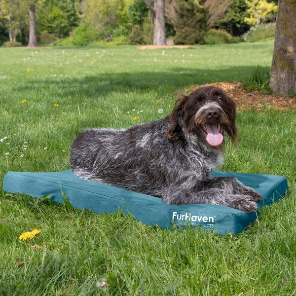 FurHaven Deluxe Oxford Orthopedic Indoor/Outdoor Dog & Cat Bed with Removable Cover, Large, Deep Lagoon slide 1 of 9