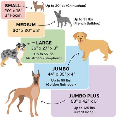 Show full view: FurHaven Deluxe Oxford Memory Foam Indoor/Outdoor Dog & Cat Bed with Removable Cover, Small, forest slide 3 of 11